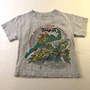 TMNT Teenage Mutant Ninja Turtles Graphic T-Shirt Heather Gray Kids Size 4-5 Y2K